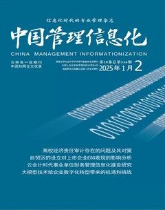 中国管理信息化