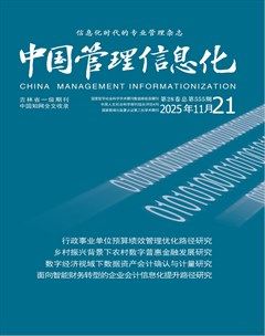 中国管理信息化