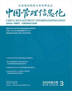 中国管理信息化