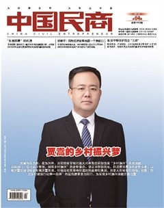 中國(guó)民商