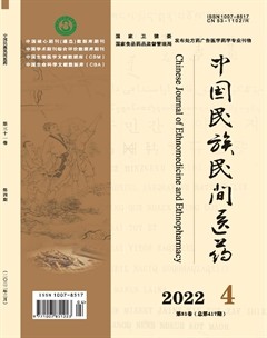 中国民族民间医药·下半月