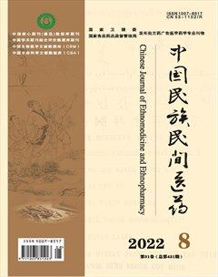 中国民族民间医药·下半月