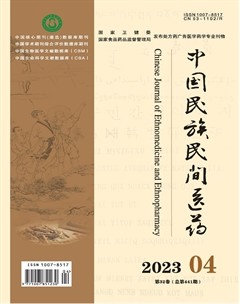 中国民族民间医药·下半月