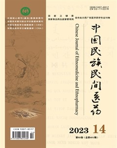 中国民族民间医药·下半月