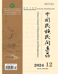 中国民族民间医药·下半月
