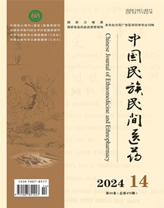 中国民族民间医药·下半月