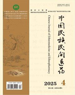中国民族民间医药·下半月