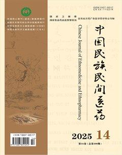 中国民族民间医药·下半月