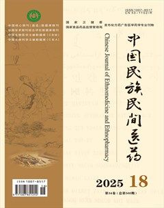 中国民族民间医药·下半月