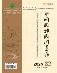 中国民族民间医药·下半月