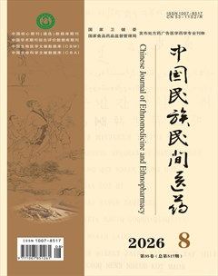 中国民族民间医药·下半月