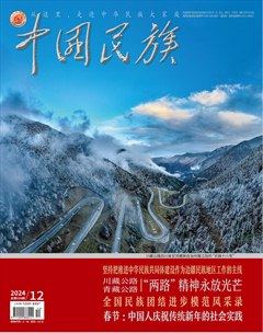 中国民族