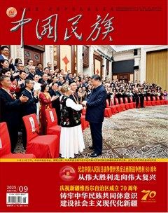 中国民族