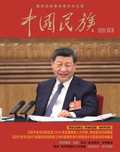 中国民族
