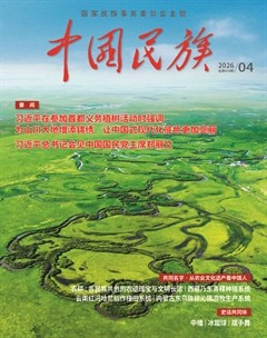 中国民族