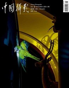 中国摄影