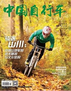 中国自行车