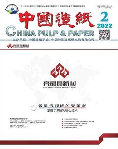 中国造纸