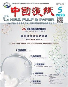 中国造纸