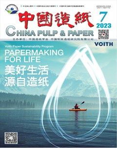 中国造纸