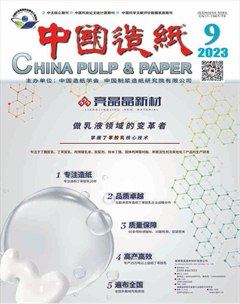 中国造纸
