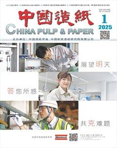 中国造纸