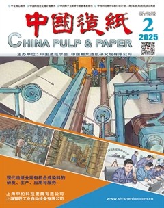 中国造纸