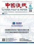 中国造纸