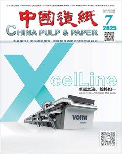 中国造纸