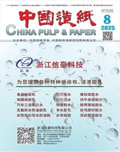 中国造纸
