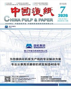 中国造纸