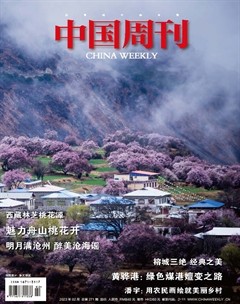 中国周刊