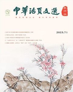 中华活页文选·教师版