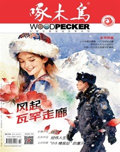 啄木鸟