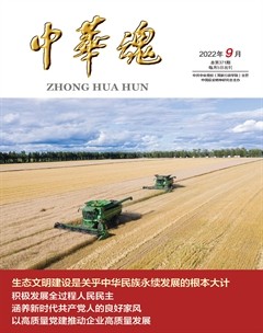 中华魂