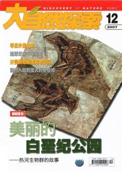 2007年第12期