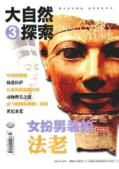 2008年第3期