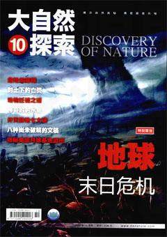 2009年第10期