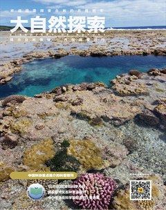 大自然探索