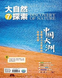 大自然探索
