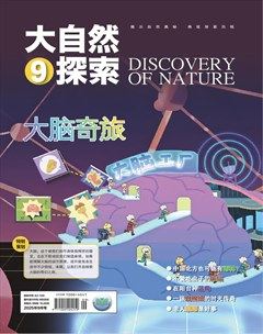 大自然探索