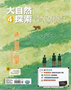 大自然探索