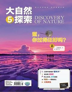大自然探索