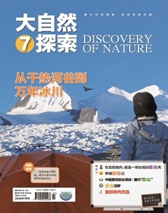 大自然探索