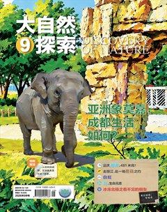 大自然探索