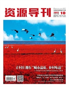 资源导刊