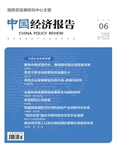 中国经济报告