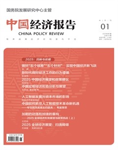 中国经济报告