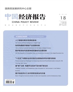 中国经济报告