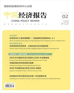 中国经济报告